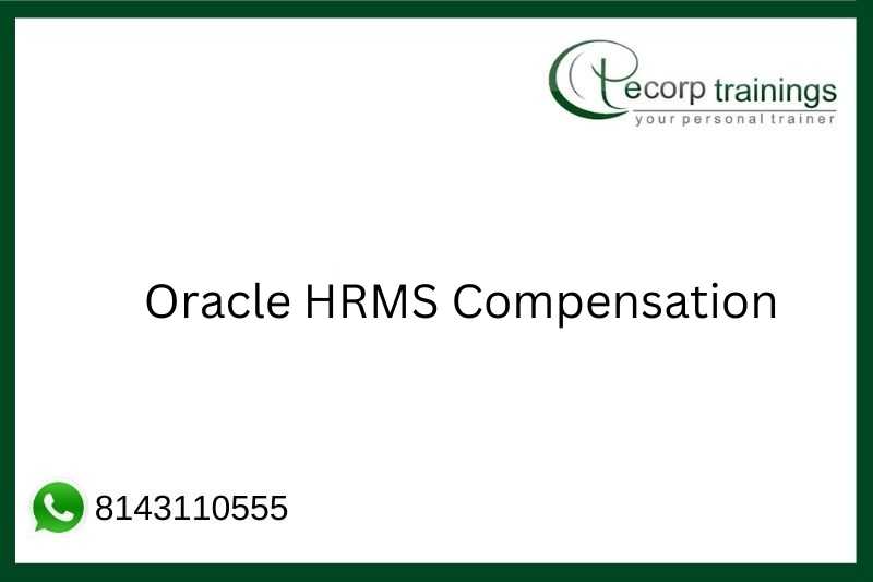 Oracle HRMS Compensation Job Support