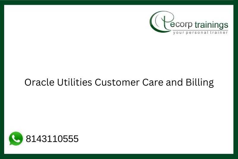 Oracle Utilities Customer Care and Billing Job Support
