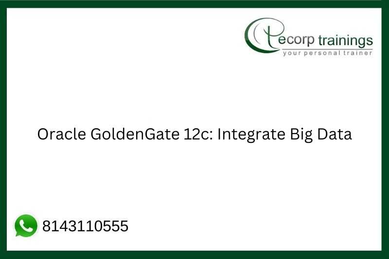 Oracle GoldenGate 12c: Integrate Big Data  Job Support