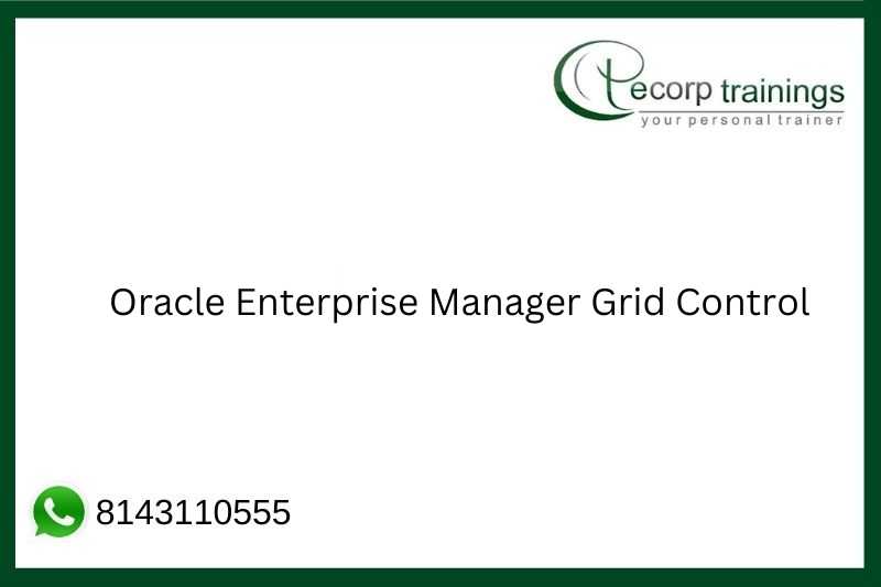 Oracle Enterprise Manager Grid Control Job Support