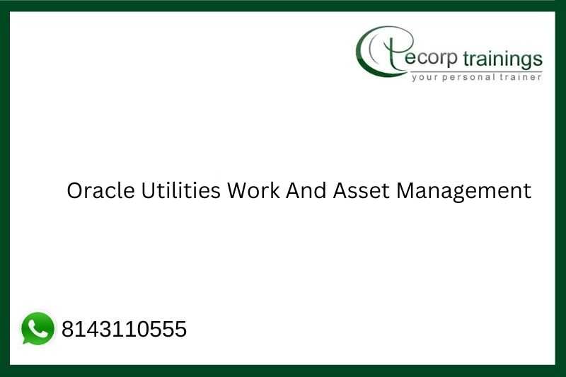 Oracle Utilities Work And Asset Management Job Support