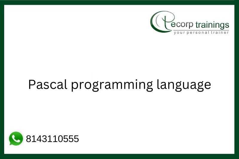 Pascal programming language Job Support