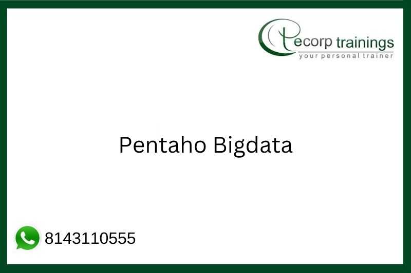 Pentaho Bigdata Job Support