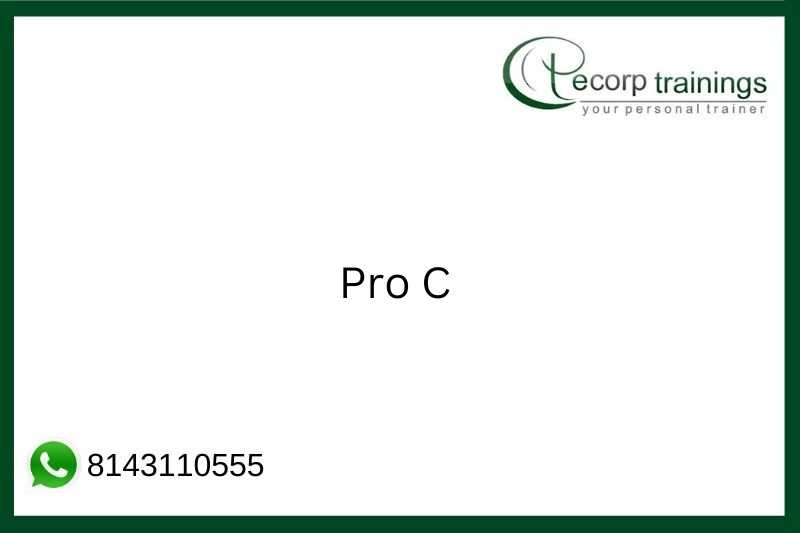 Pro C Job Support