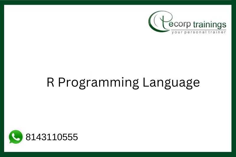 R Programming Language Job Support