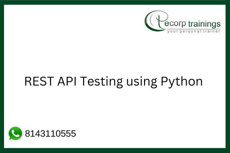 REST API Testing using Python Job Support