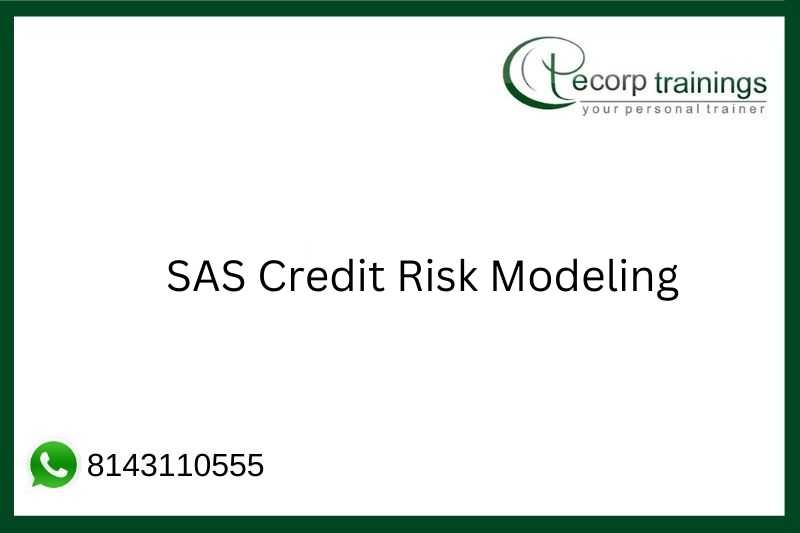 SAS Credit Risk Modeling Job Support