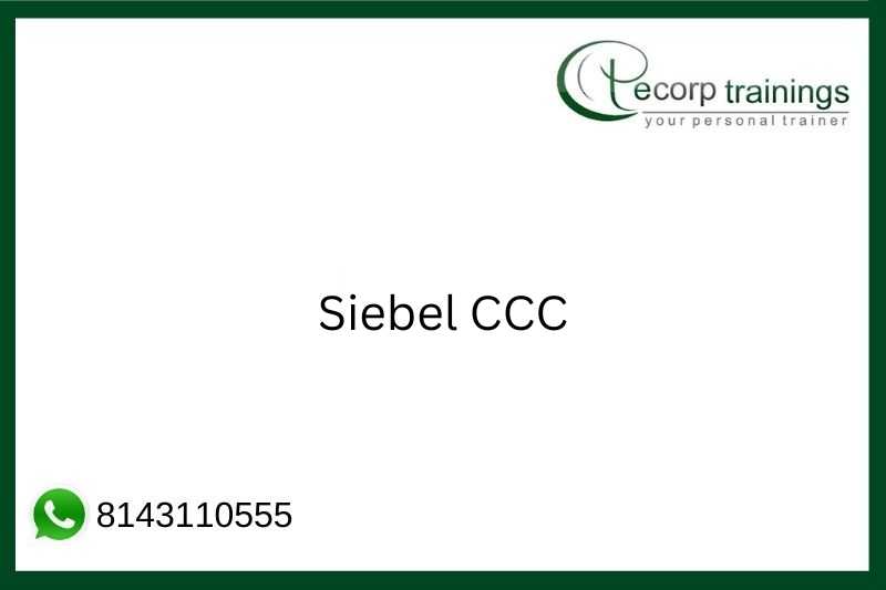 Siebel CCC Job Support