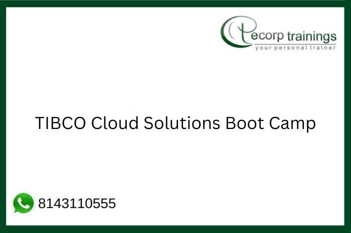 TIBCO Cloud Solutions Boot Camp  Job Support