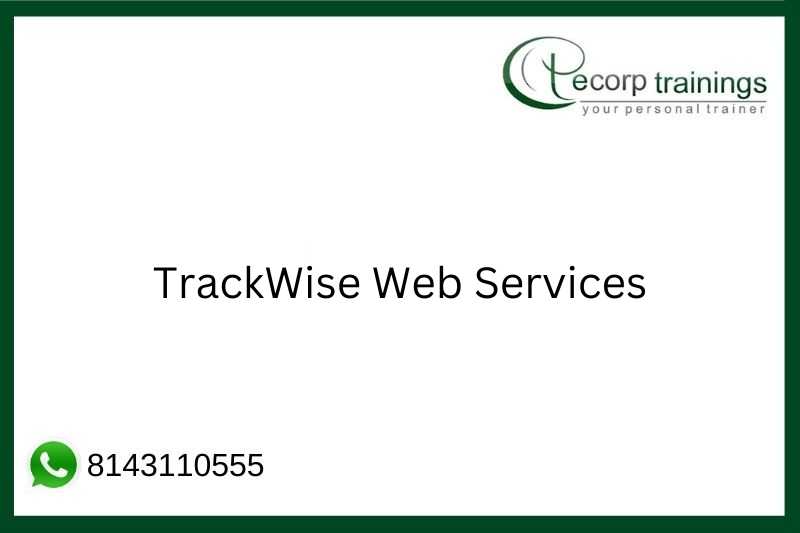 TrackWise Web Services Job Support